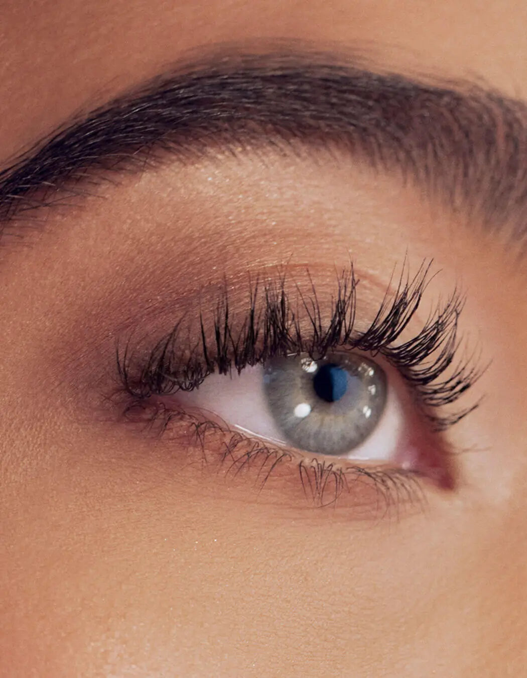 Revitalash® Signature Eyelash Curler